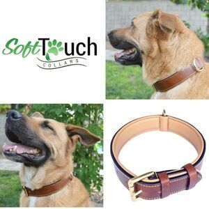 SOFT TOUCH PADDED LEATHER COLLAR DOG XL 28” X 1.75” Luxury Brass 22”-25”